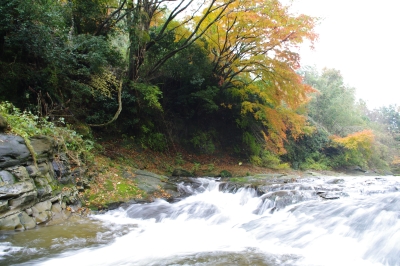 kawajoryou.jpg
