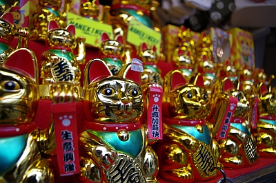 manekineko.jpg